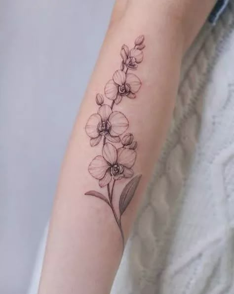 Orchid Tattoo Meaning With 105 Unique Designs For Inspiration Orchid Tattoo Design Drawings, Orchid Memorial Tattoo, Orchid Arm Tattoos For Women, Orchid Forearm Tattoo, Orchid Outline Tattoo, Rose And Orchid Tattoo, Orchid Vine Tattoo, White Orchid Tattoo, Orchard Tattoo