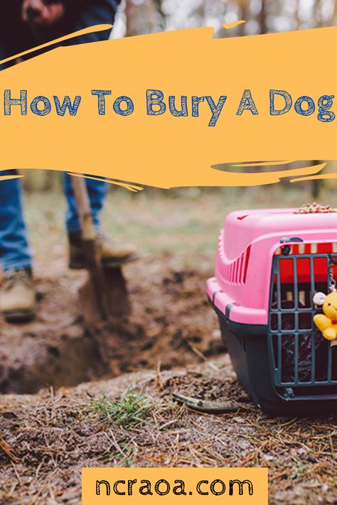 Has your dog died at home? Let us give you gives on giving your dog a proper burial. Dog Grave Ideas Diy, Dog Headstone Diy, Pet Grave Ideas, Pet Cemetery Ideas, Dog Grave Ideas, Dog Headstone, Dog Grave, Dog Cremation, Dressed Up Dogs