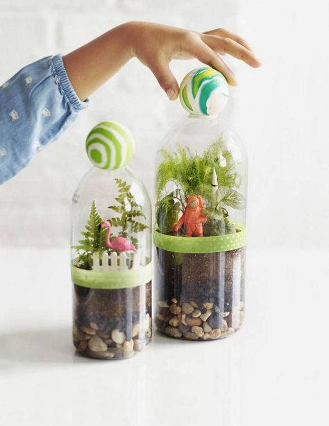 This easy terrarium shows kids the water cycle in action. Terrarium Diy Kids, Terrariums Diy, Bottle Terrarium, Terrarium Wedding, Reuse Plastic Bottles, Diy Water Bottle, Diy Terrarium, About Science, Kids Science