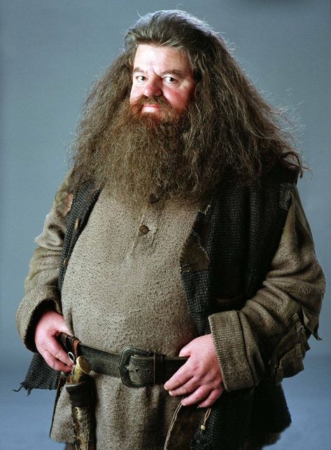 Robbie Coltrane as Hagrid in Harry Potter Photo Harry Potter, Harry Potter Witch, Hogwarts Professors, Robbie Coltrane, Rubeus Hagrid, Theme Harry Potter, Golden Trio, Harry Potter 2, Harry Potter Crafts