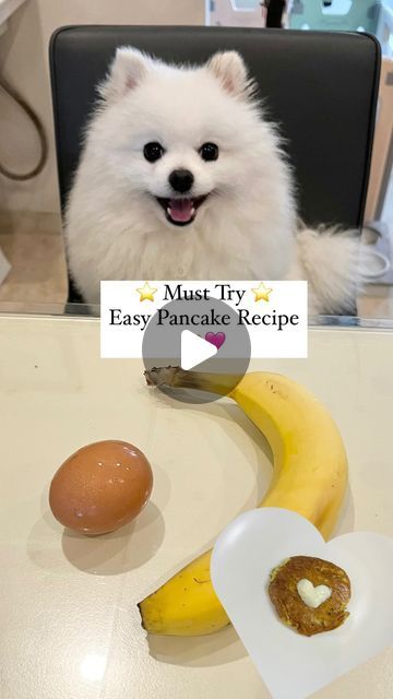 Yogurt Blueberries, Animal Snacks, Banana Recipe, White Pomeranian, Pancake Recipe Easy, Pancakes Easy, Banana Pancakes, Dog Recipes, Dog Treat Recipes