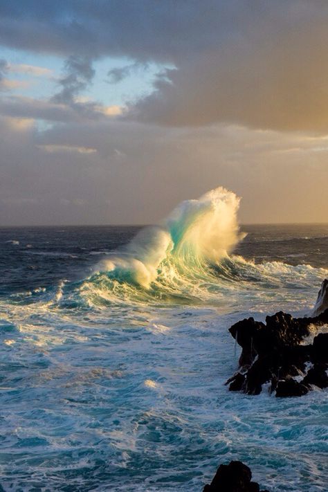 Wave Crashing, Beyond The Sea, Waves Crashing, Crashing Waves, Beautiful Ocean, Sea Waves, Big Waves, In The Ocean, Sea And Ocean