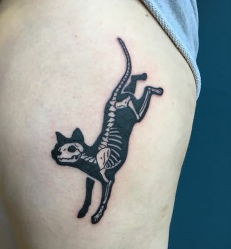 Black Cat Skeleton Tattoo, Skeleton With Cat Tattoo, Schrodinger Cat Tattoo, Sugar Skull Cat Tattoo, Gothic Dog Tattoo, Dog Bite Tattoo, Dog Skeleton Tattoo, Animal Bones Tattoo, Traditional Skeleton Tattoo