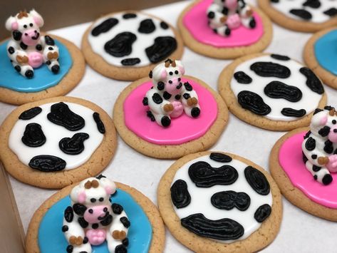 Farm Animal Gender Reveal, Gender Reveal Ideas Cow Theme, Cow Print Gender Reveal Ideas, Cow Print Gender Reveal, Cow Theme Gender Reveal, Bull Or Heifer Gender Reveal, Cow Themed Gender Reveal, Cow Gender Reveal Ideas, Cow Gender Reveal