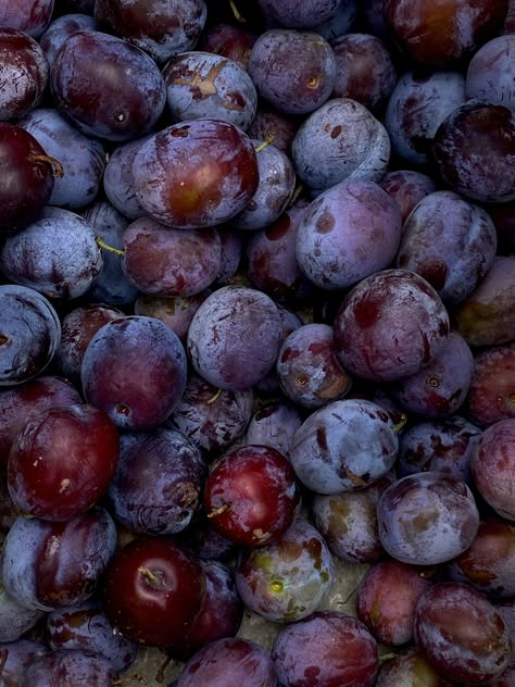 plums, fruit, autumn, autumn harvest, violet plums, violet colour Plums Aesthetic Fruit, Midnight Plum Aesthetic, Plum Aesthetic Fruit, Glossier Reve, Plum Color Aesthetic, Plums Aesthetic, Purple Autumn Aesthetic, Plum Aesthetic, Plums Fruit