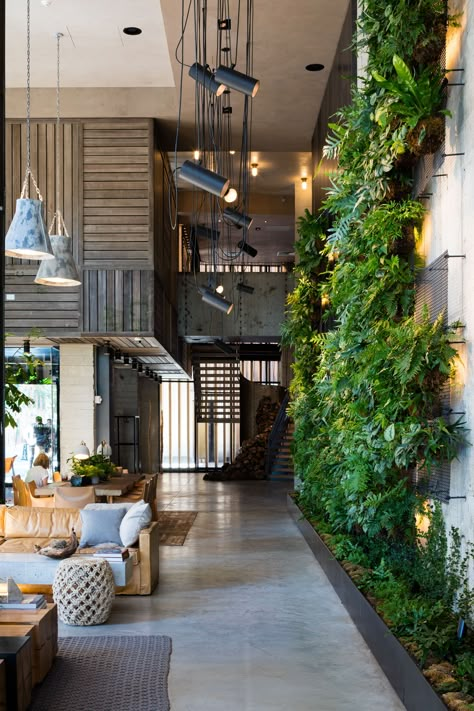 Plant Office Design, Living Wall Indoor, Plants Office, Plant Walls, Wall Planters Indoor, Living Wall Decor, Green Office, Living Walls, Biophilic Design