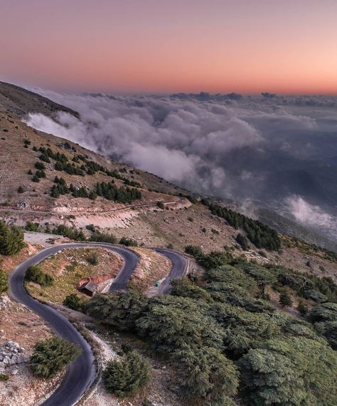 Shouf biosphere reserve 🌲 • • •  #chouf #shoufreserve #lebanon #beirut #livelovelebanon #livelovebeirut #nature #travel #mountains… Lebanon Mountains, Lebanon Nature, Travel Mountains, Lebanon Beirut, Beirut, Nature Reserve, Nature Travel, Lebanon, Country Roads