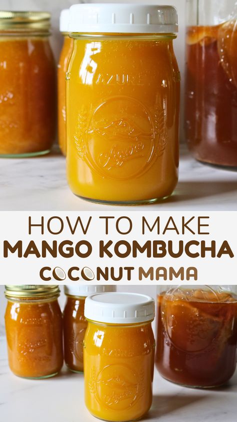 Sweet and delicious mango kombucha is a favorite flavor of this fermented drink. It's easy to make and tastes fantastic! Mango Kombucha, Mango Kombucha Recipe, Peach Kombucha, Kombucha Flavors Recipes, Grape Vinegar, Coconut Bacon, Homemade Kombucha, Kombucha Recipe, Baking With Coconut Flour