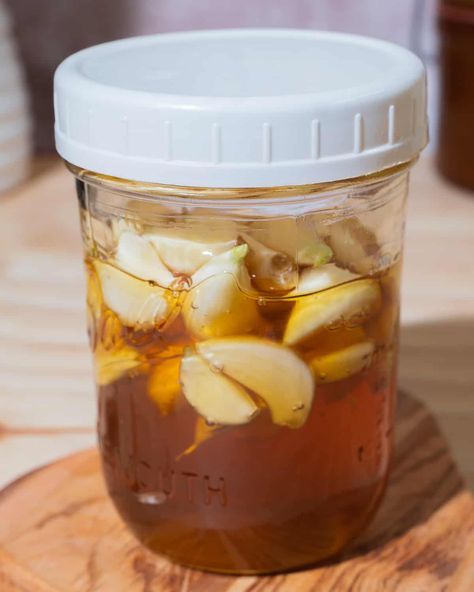 mason jar of honey and garlic with a white plastic lid Garlic And Honey Benefits, Fermented Garlic Honey, Fermented Garlic, Garlic And Honey, Fermented Honey, Honey Wine, Infused Honey, Garlic Honey, Raw Apple Cider Vinegar