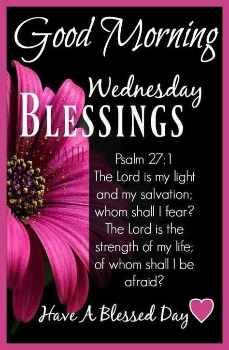 King Of Judah, Wednesday Morning Greetings, Christian Good Morning Quotes, Wednesday Morning Quotes, Wednesday Greetings, Weekly Quotes, Morning Sister, Wednesday Blessings, Tuesday Blessings