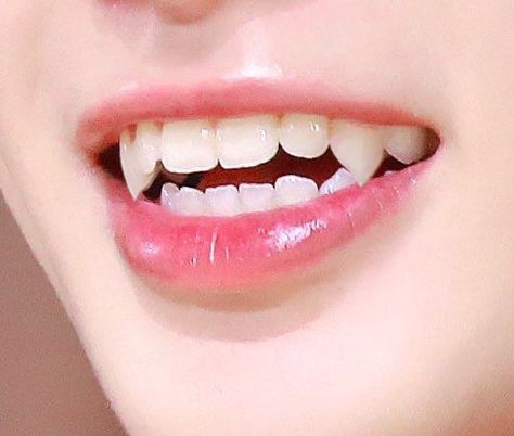 Teeth Aesthetic, Pretty Teeth, Fantasy Story Ideas, Cute Tooth, Straight Teeth, Perfect Teeth, Vampire Teeth, Beautiful Lips, White Teeth