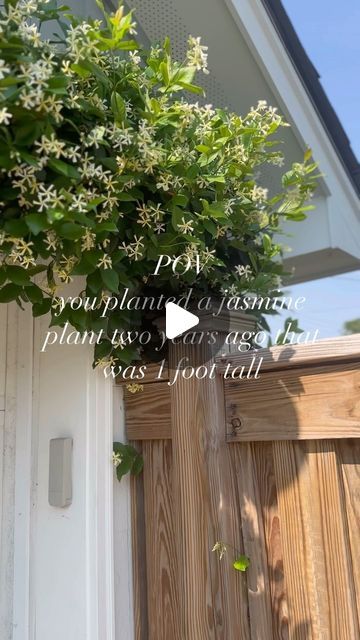 Leah Hughes on Instagram: "If only I could send the smell through the phone….such a good way to soften the look of a garage and we just use nails and wire to hang" Jasmine Climber, Climbing Jasmine, Ideas For The Garden, Plant Box, Yellow House, Cottage Fairy, Yellow Houses, Memorial Garden, French Cottage