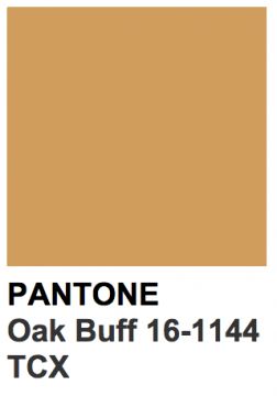 pantone marron clair Pantone Aesthetic, Oxblood Red, Online Shop Design, Color Name, Paint Color, Color Me, Paint Colors, Shop Design, Online Shop