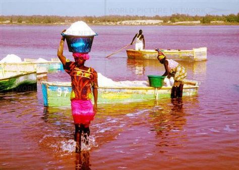 Lac Rose, also known as Lake Retba. "It is a true natural phenomenon.  The lake has a stunning pink-purple color, due to it's incredibly high cyanobacteria & salt content, which changes depending on the time of day and position of the sun in the sky. Mother Nature is flawless." Senegal Travel, Lake Retba, Senegal Africa, Pink Lake, Amazing Places On Earth, Pink Salt, Yoga Training, World Of Color, West Africa