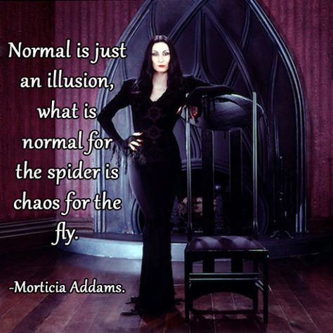 Morticia Addams Addams Family Quotes, Addams Familie, What Is Normal, Gomez And Morticia, Elvira Mistress Of The Dark, Morticia Addams, Adams Family, The Addams Family, Halloween Quotes