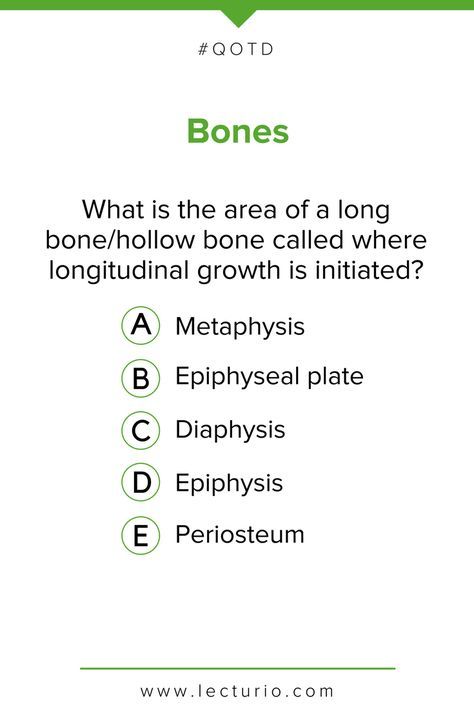 Epiphyseal Plate, Radiology Student, Crazy Girl Quotes, Nursing Notes, Medical Knowledge, Nerd Life, Question Of The Day, Quotes For Book Lovers, Basic Math