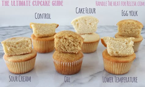 The Ultimate Cupcake Guide shows how different ingredients and techniques make cupcakes light, greasy, fluffy, dense, crumbly, or moist! from Handletheheat.com Ultimate Cupcake Recipe, Cookie Shop, Bread Puddings, Cupcakes Ideas, Baking 101, Beautiful Cupcakes, Donut Shop, Baking Ideas, Cake Decor