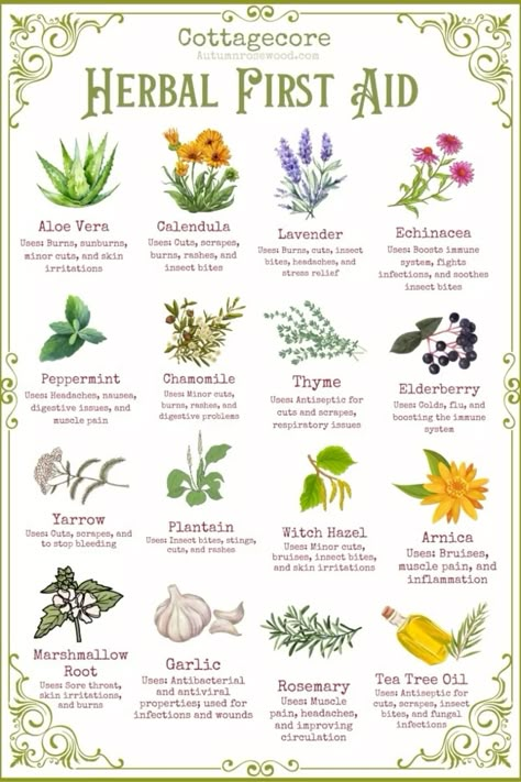 Herbs With Healing Properties, Growing Herbs For Medicine, Herbs For Heartbreak, Flower Medicine Natural Remedies, Different Herbs And Their Uses, Herbs And Magic, Herbs With Antifungal Properties, Herbs For When Youre Sick, Medical Herbs And Their Uses