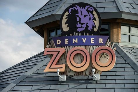 Denver Zoo is Bringing the Zoo to You During Closure Denver Zoo, The Zoo, Emergency Fund, Zoo Animals, Travel With Kids, Denver, Neon Signs, United States, Bring It On