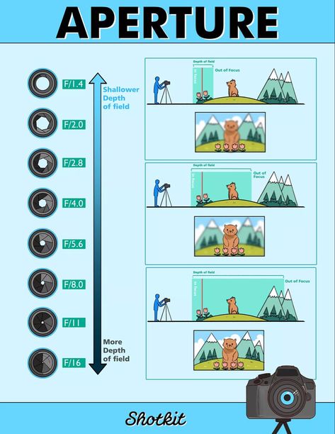 Aperture Depth Of Field, F Stop, Camera Basics, Manual Photography, Aperture And Shutter Speed, Photography Settings, Photography Cheat Sheets, Photography Basics, Photography For Beginners