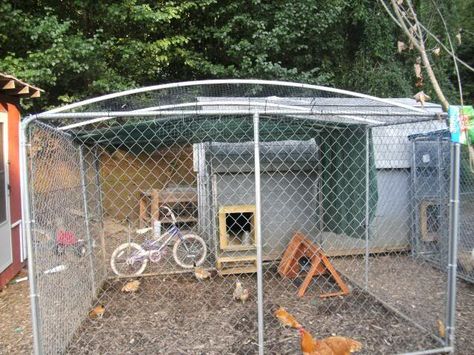 pictures of dog kennel ideas | Dog Kennel wire roofing and preditor proofing questions - Page 2 Diy Dog Kennel Cover, Dog Kennel Roof, Chicken Coop Building Plans, Diy Dog Run, Duck Farm, Dog Kennel Designs, Kennel Ideas, Dog Pens, Dog Kennel Cover