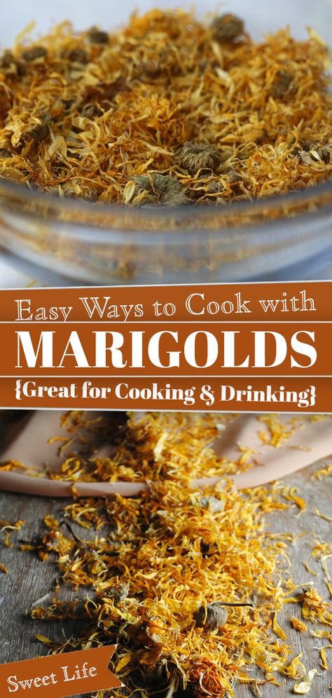 Marigold Benefits Health, Edible Marigolds Recipes, Uses For Marigolds, Dried Marigold Uses, Marigold Tea Benefits, Marigold Tincture, Marigold Recipes, Marigold Uses, Mexican Marigolds