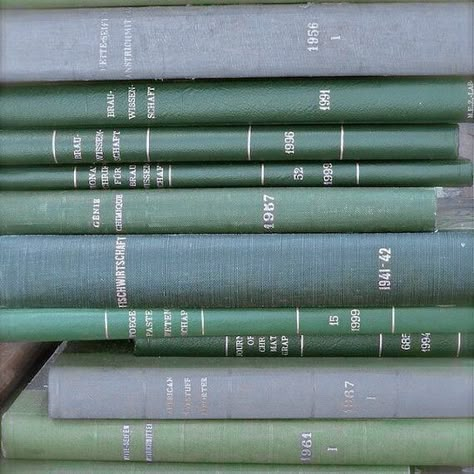 Green Aesthetic Light, Aesthetic Dark Green, Aesthetic Light Blue, Aesthetic Tags, Sage Green Wallpaper, Blue Green Eyes, Green School, Green Pictures, Light Blue Aesthetic