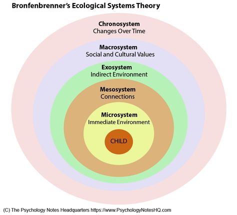 American psychologist, Urie Bronfenbrenner, formulated the Ecological Systems Theory to explain how the inherent qualities of children and their environments interact to influence how they grow and develop. The Bronfenbrenner theory emphasizes the importance of studying children in multiple environments, also known as ecological systems, in the attempt to understand their development. Urie Bronfenbrenner, Ecological Systems Theory, Area And Perimeter Worksheets, Psychology A Level, Child Development Theories, Child Development Activities, Psychology Notes, Adverse Childhood Experiences, Systems Theory