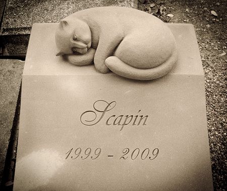 Cat headstones at Cimetière des Chiens in Paris, France Cat Headstone, Pet Cemetary, Grave Monuments, Cemetery Monuments, Cemetery Statues, Pet Cemetery, Cemetery Headstones, Old Cemeteries, Cemetery Art