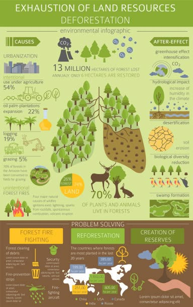 9,807 Erosion Icon Stock Photos, Pictures & Royalty-Free Images - iStock Deforestation Poster, Land Resources, Rainforest Deforestation, Environmental Posters, Strategy Infographic, Environmental Problems, Scientific Poster, Instagram Projects, Environmental Problem