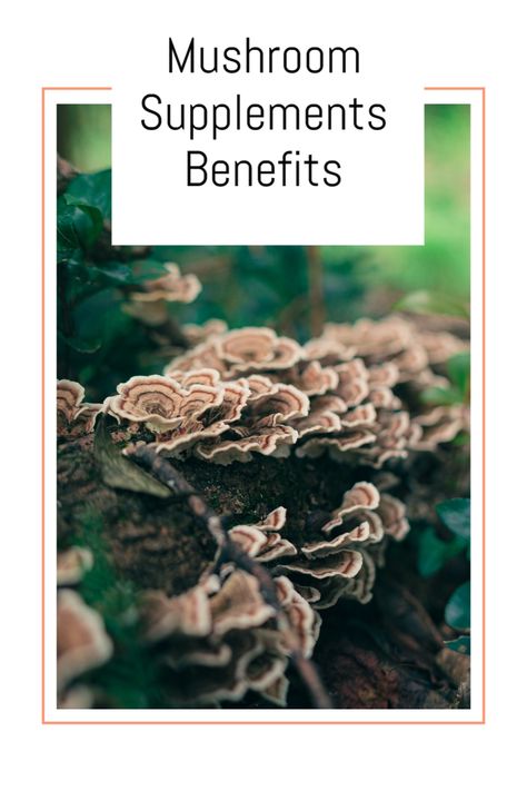 The health benefits of a quality, well-made mushroom immune supplement are immense. In fact, no other living organism in nature can compare with mushrooms in terms of the presence and abundance of beneficial nutrients. Mushroom Supplements Benefits Of, Mushroom Complex Benefits, Functional Mushrooms, Health Benefits Of Mushrooms, Mushroom Supplements, Mushroom Benefits, Health World, Chaga Mushroom, Boost Energy Naturally