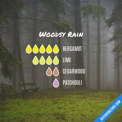 Woodsy Rain - Essential Oil Diffuser Blend Essential Oils Diffuser Blends, Eo Blends, Essential Oil Combinations, Essential Oil Diffuser Blends Recipes, Essential Oil Remedy, Essential Oils Diffuser, Essential Oil Diffuser Recipes, Oil Diffuser Recipes, Essential Oil Mixes