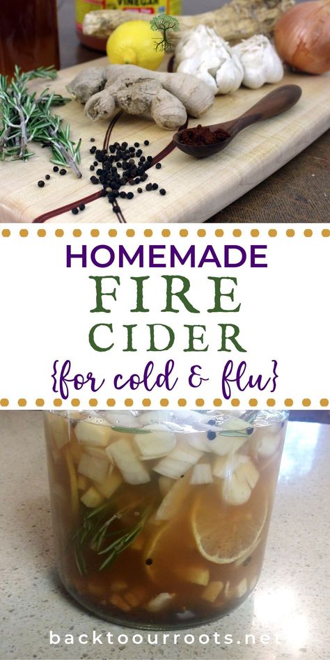 Naturally support your immune health with homemade Fire Cider. Easy to make and easy to store. Make some today! Cider Recipes, Fire Cider Recipe, Spicy Drinks, Fire Cider, Cider Recipe, Cold Sores Remedies, How To Make Fire, Herbal Recipes, Natural Health Care