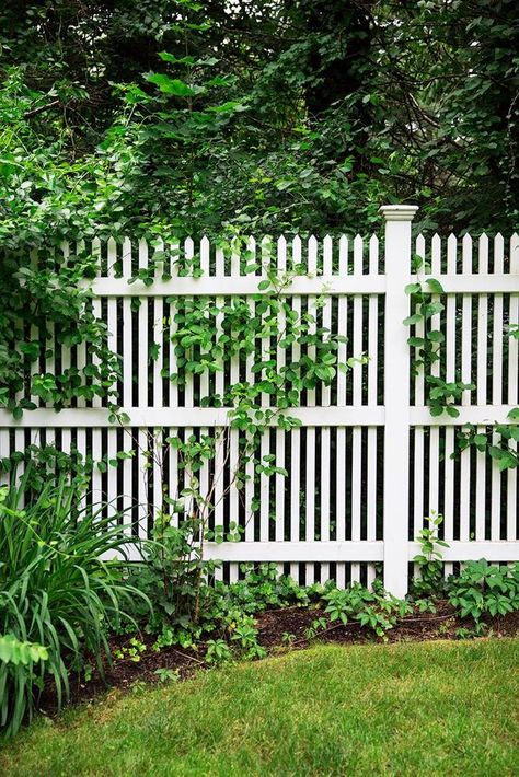 Love the tall picket fence! Maybe with wider spaces between pickets Backyard Fence Ideas Privacy, Gard Modern, Cheap Privacy Fence, Diy Privacy Fence, Privacy Fence Designs, Cheap Backyard, White Fence, Backyard Privacy, Front Yard Fence