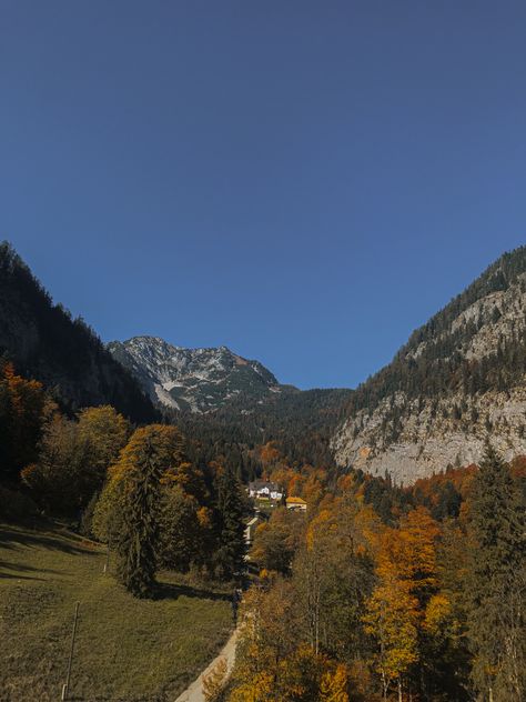 Austria, autumn, forest, montain Fall Hiking Aesthetic, Austria Autumn, Hallstatt Austria, Innsbruck Austria, Hiking Aesthetic, Mood Wallpaper, Fall Hiking, Innsbruck, Autumn Forest