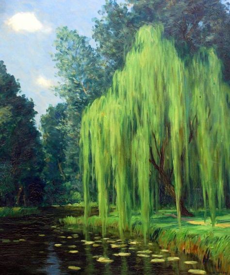 Willow Tree Art, Weeping Willow Tree, Weeping Willow, Tree Drawing, Willow Tree, Ethereal Art, Green Foliage, Painting Art Projects, Water Lilies