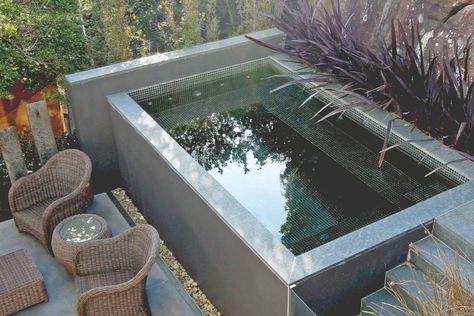 How to design a stunning plunge pool - Completehome Pool Steps, Pool Sizes, Small Space Design, Small Pools, Landscape Concept, Small Pool, Plunge Pool, Pool Cleaning, Rooftop Terrace