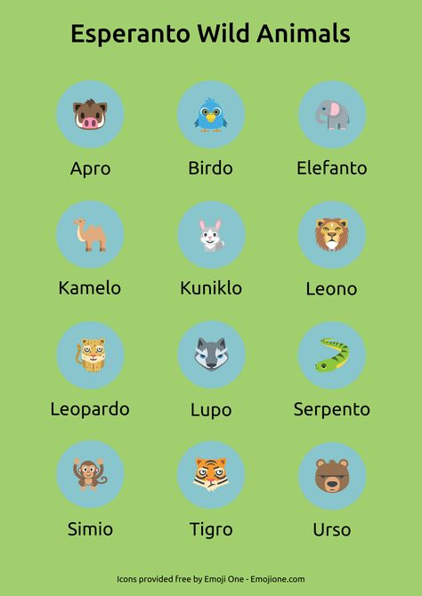 The world is full of wild animals. Here are the Esperanto words for some of the animals you can encounter in the wild, or more likely a zoo. English Esperanto Boar Apro Bird Birdo Elephant Elefanto Camel Kamelo Rabbit Kuniklo Lion Leono Leopard Leopardo Wolf Lupo Snake Serpento Monkey Simio Tiger Tigro Bear Urso Related … Esperanto Language, Alphabet Code, All Languages, Language Study, Italian Language, Learn A New Language, Learning Languages, Language Learning, The Animals