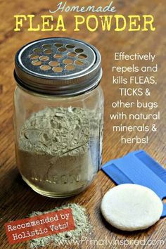 Homemade flea repellent Flea Powder For Dogs, Homemade Flea Spray, Flea Spray For Dogs, Dog Flea Remedies, Home Remedies For Fleas, Flea Powder, Flea Remedies, Flea Repellent, Pet Remedies