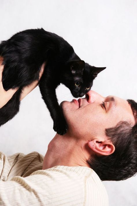 Men With Cats, Cat Loss, Cat Sitter, Photographie Portrait Inspiration, Cat Photography, Cat People, Beautiful Cats, Mans Best Friend, Cat Photo