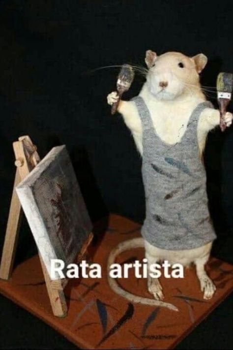 Taxidermy Rat, Pics Of Animals, Rattus Rattus, Funny Rats, Mouse Photos, Chat Kawaii, A Rat, Cute Rats, British Comedy