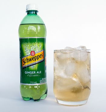 Ginger Ale Ginger Ale Recipe, Ginger Extract, Dry Ginger, Carbonated Drinks, Ground Ginger, Ginger Ale, Small Containers, Ginger Beer, Soft Drinks