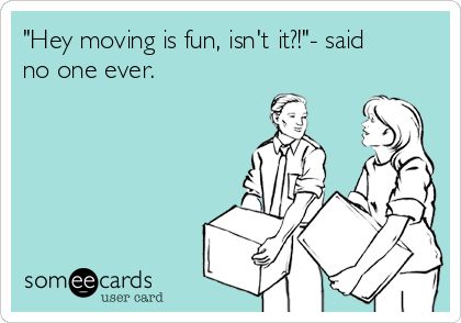 "Hey moving is fun, isn't it?!"- said no one ever. | Confession Ecard Moving Humor, Moving Memes, Taxes Humor, Funny Friendship, Funny Confessions, Friendship Humor, Good Morning Friends Quotes, Moving Day, Good Morning Friends