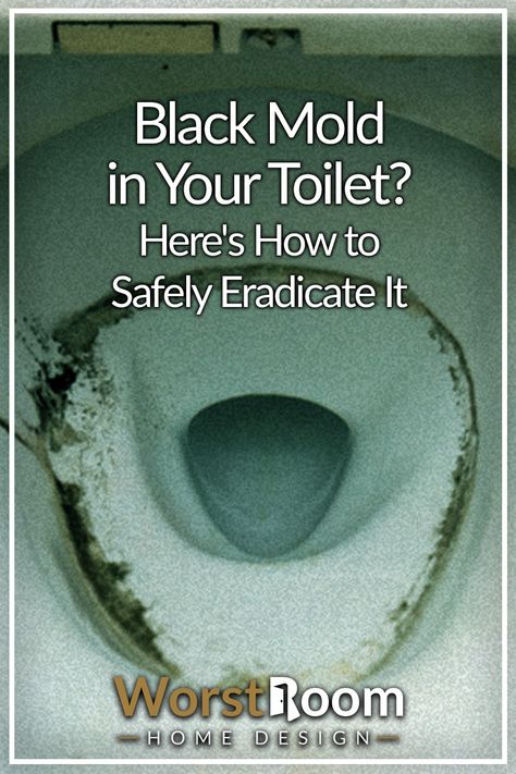 Black Mold in Your Toilet? Here's How to Safely Eradicate It Vinegar In Toilet Tank, Toilet Ring Remover, Kill Black Mold, Best Toilet Bowl Cleaner, Clean Black Mold, Remove Black Mold, Toilet Bowl Stains, Toilet Cleaning Hacks, Black Mold