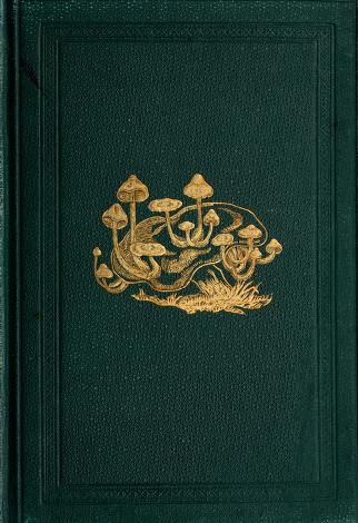 British fungi (hymenomycetes) : Stevenson, John, d. 1893 : Free Download, Borrow, and Streaming : Internet Archive Vintage Book Cover Wallpaper, Gilded Book Cover, Vintage Book Cover Template, Book Cover Wallpaper, Green Book Cover, Old Book Covers, Old Book Cover, Book Cover Art Design, Diary Cover