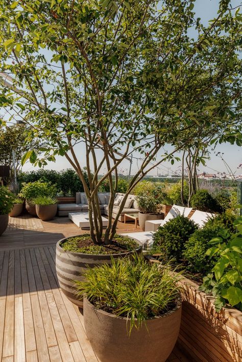 Italian Terrace Garden, Rooftop Garden Design Modern, Terrace Roof Design, Roof Deck Garden, Terrace Design Ideas, Rooftop Planters, Design Terrace, Design For House, Terrace Roof