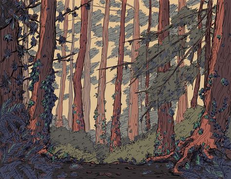 GERARD DALBON: UNFRAMED THOUGHTS Illustration Portfolio Forest Drawing, Aesthetic Forest, Arte Peculiar, Posca Art, Forest Background, Forest Illustration, Background Drawing, Magic Forest, Fantasy Forest