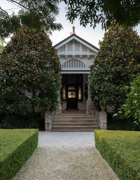 A Grand Mosman Garden 100 Years In The Making Fast Growing Shade Trees, Sydney Gardens, Magnolia Grandiflora, Australian Garden, Fast Growing Trees, Most Beautiful Gardens, Low Maintenance Garden, Shade Trees, City Garden