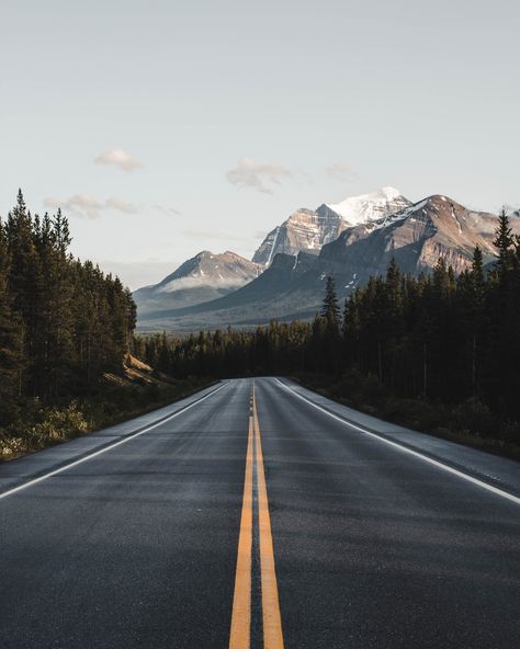 Great American Road Trip, الفن الرقمي, World Of Wanderlust, World Most Beautiful Place, Beautiful Roads, Forest Landscape, Landscape Pictures, Wall Art Canvas Painting, Alam Yang Indah