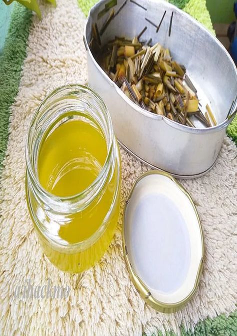 Homemade Citronella Oil, How To Make Citronella Oil, Citronella Oil Diy, Citronella Soap Recipe, How To Make Citronella Oil From Plant, Diy Citronella Oil, Diy Citronella Candles, Diy Citronella, Citronella Plant